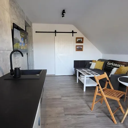 Swit - Apartament W Jezowie Sudeckim Jezow Sudecki Zewnętrze zdjęcie